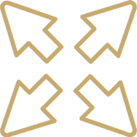 Icon Expansion DACH-Raum